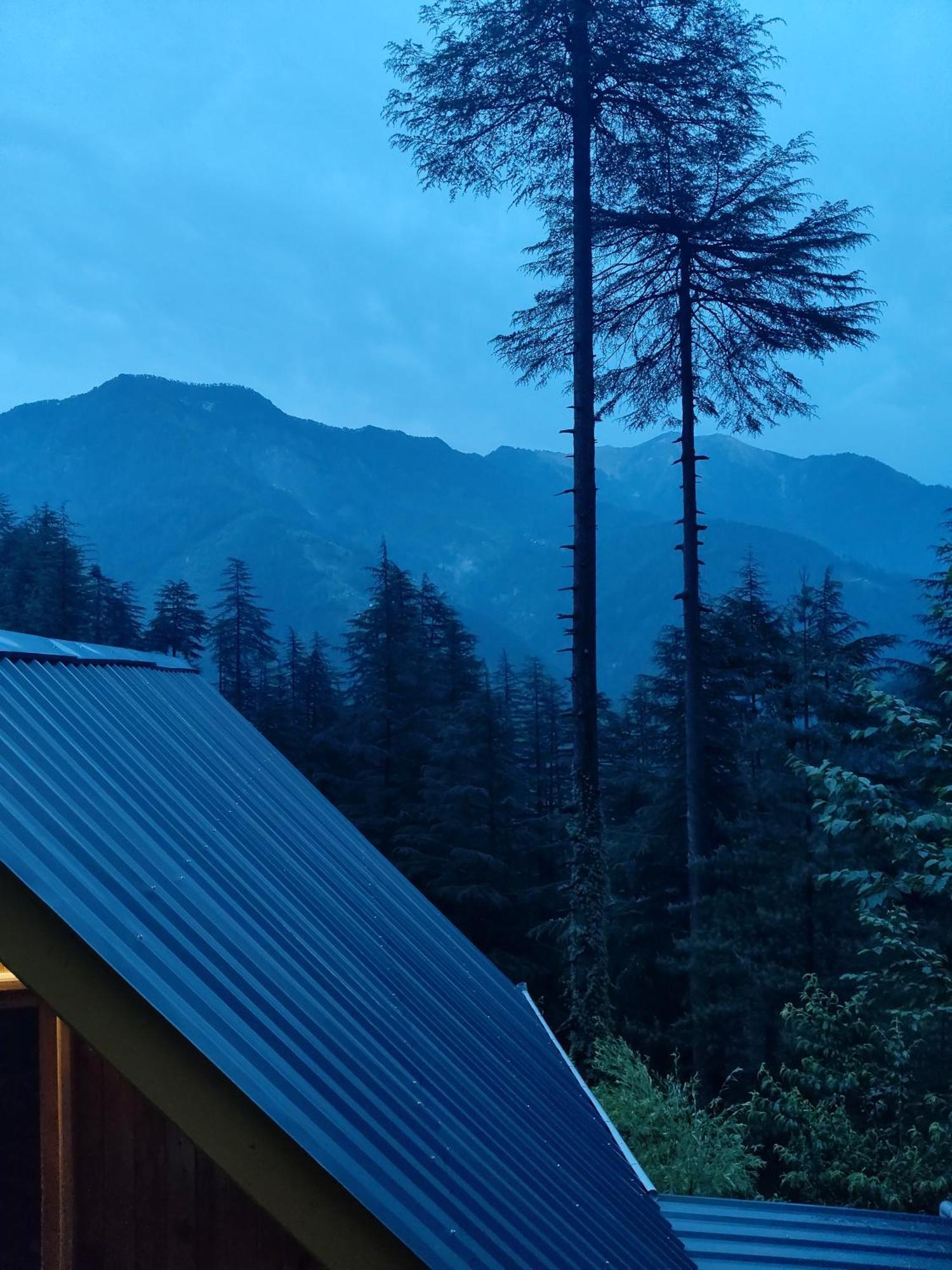 Forest View Cottage Jibhi Exterior photo
